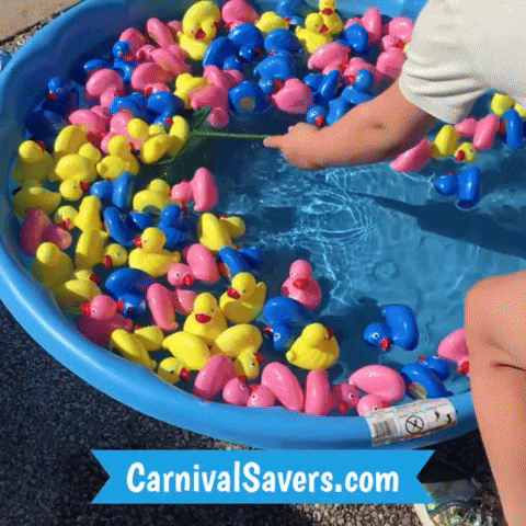 CarnivalSavers carnival savers carnivalsaverscom duck pond carnival game - tipping ducks duck pond game GIF