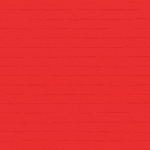 Internet Follow GIF by RedPocket