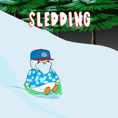 Sledding New York GIF by Pudgy Penguins