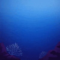 Celebrate World Oceans Day Gifs Get The Best Gif On Giphy