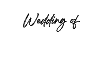Schneiderwedding Sticker by Gekko Group