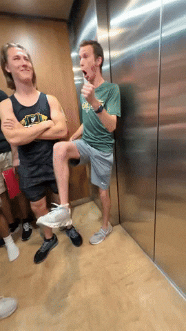 Elevator Tampa GIF by USF Dumb Events