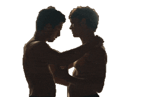 Heated Rivalry Sticker by Ulker Pro