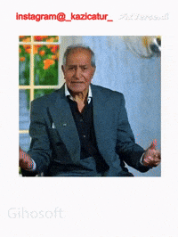 hooshmand aghily