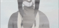 Haku GIF