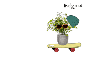 Skate Plants GIF by Lively Root