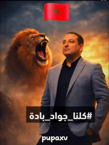 Bein Sports Morocco GIF