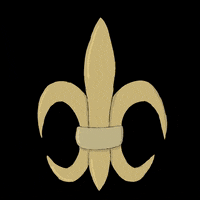 New Orleans Saints GIF by jbianart