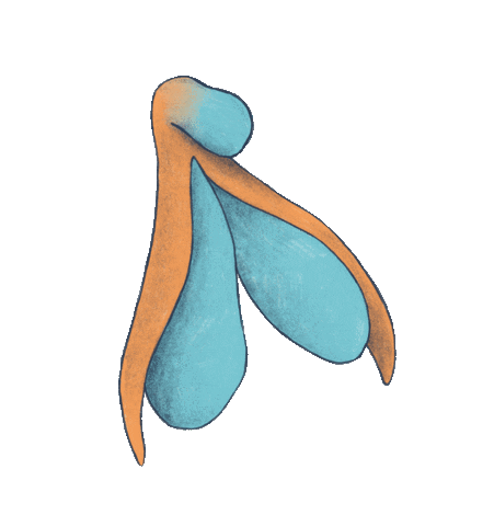 Libro Sticker by Violeta Benini