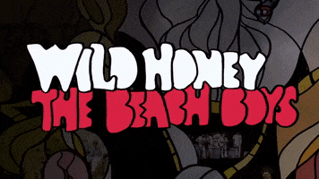 Wild Honey GIF by The Beach Boys