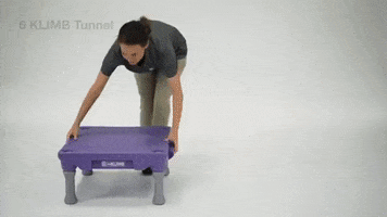 Dog Trainer GIF by Blue9PetProducts