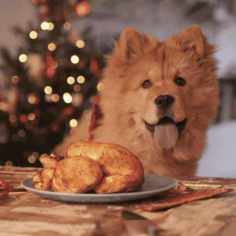 Merry Christmas Dog GIF by StoryMe