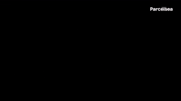Parcelsea GIF