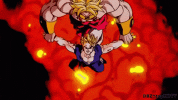 Fight Vs GIF