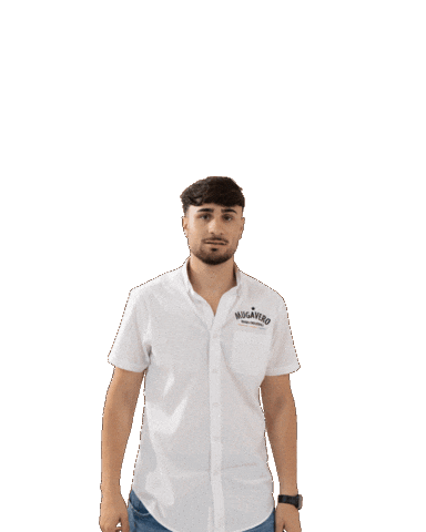 Salerno Sticker by iolibe-Santorografica