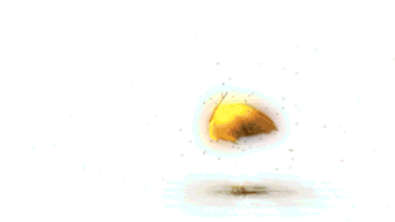 Makeup Butterfly Sticker by Vanity Mirror MY Store