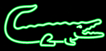 Neon Alligator GIF by University of Florida