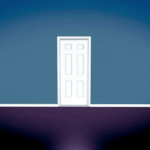 Vote Choose GIF by Election