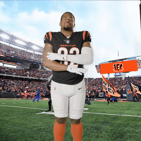 Football Sport GIF by Bengals