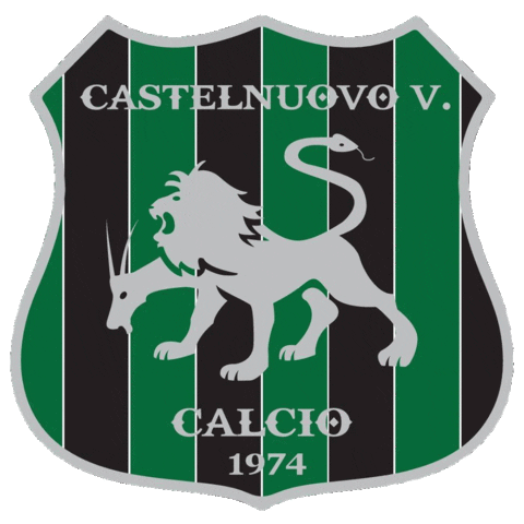 asdcastelnuovocalcio Sticker