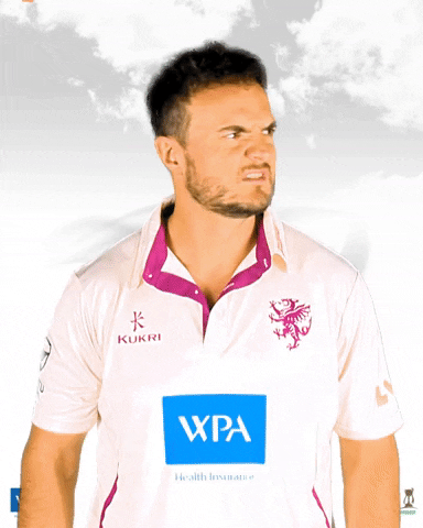 Jack Brooks What GIF by Somerset County Cricket Club