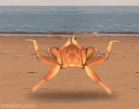 Crabs meme gif