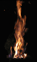fire burning GIF