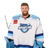 TIPOS Slovenská hokejová liga Sticker