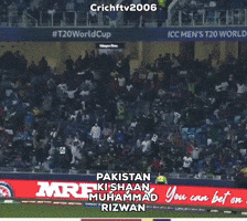 Cricket Pakistan GIF