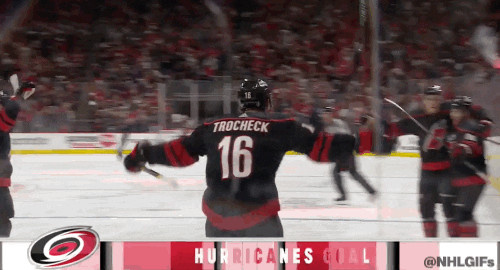 Hockey What GIF by Carolina Hurricanes - Find & Share on GIPHY