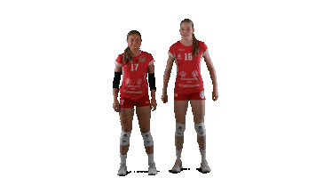 Sport Volleyball Sticker by LP Viesti