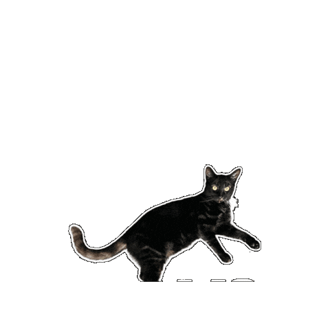 Cat Sticker by Rega Marketing