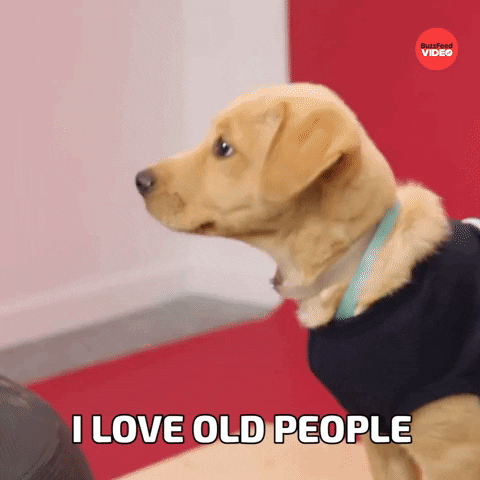Old Lady Dogs GIF by BuzzFeed