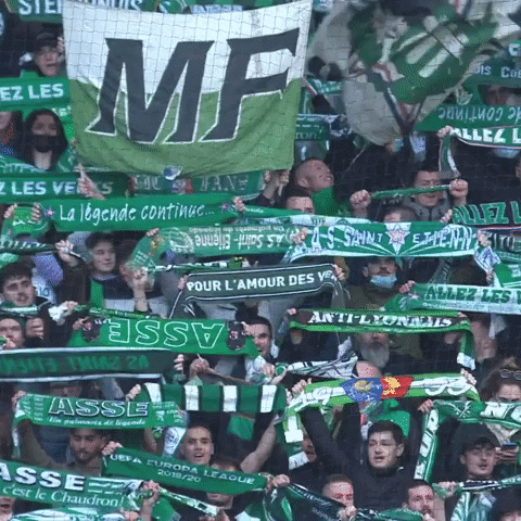 Football Magic GIF by AS Saint-Étienne