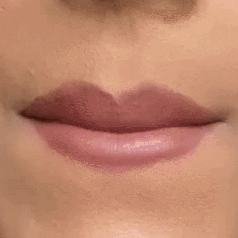 Lips Lipstick GIF by Vasanti Cosmetics
