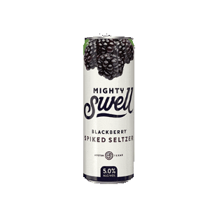 Seltzer Blackberry Sticker by Mighty Swell