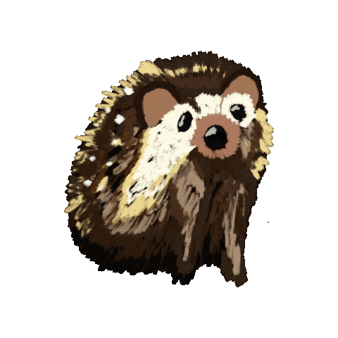 Animated Sticker