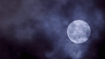 Full Moon Horror GIF by Moments of Colour