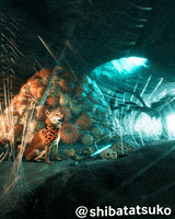 Lord Of The Rings Dog GIF by Geekster Pets