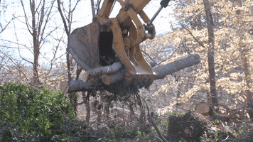Cat Excavator GIF by JC Property Professionals