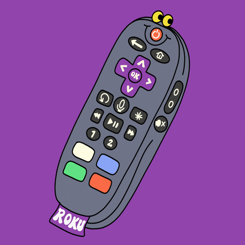 Television Streaming GIF by Roku