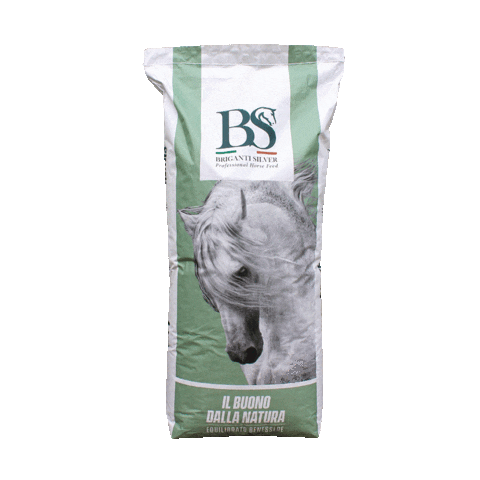 Equitation Sticker by Briganti Silver