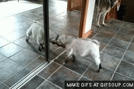 GIF uploaded by Naomi