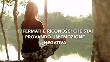 socialware-italy  GIF