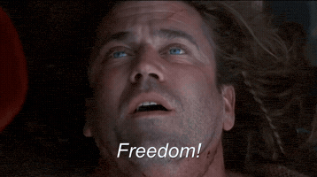 Freedom GIF