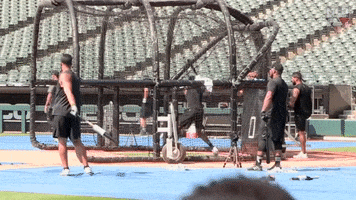 White Sox GIF by MLB Network