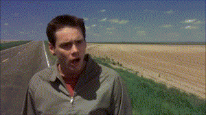 Movie gif. Jim Carrey as Lloyd in Dumb and Dumber standing on the side of a road, annoyed, shouting, "Oh, well, pardon me Mr Perfect! I guess I forgot that you never ever make a mistake."