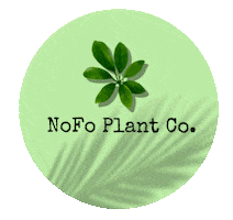 NoFo Plant Co - Ina Visich Sticker