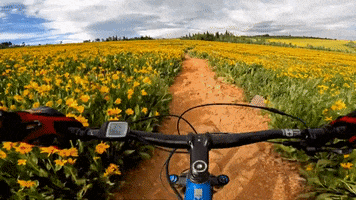 Mountain Bike Flowers GIF by Storyful