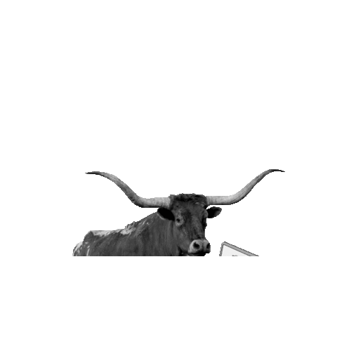 Beefy Marketing Sticker